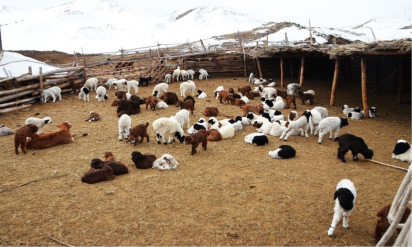 2026 оны дөрөвдүгээр сарын 20-ноос  30-ныг хүртэлх арав хоногийн цаг агаарын урьдчилсан төлөв